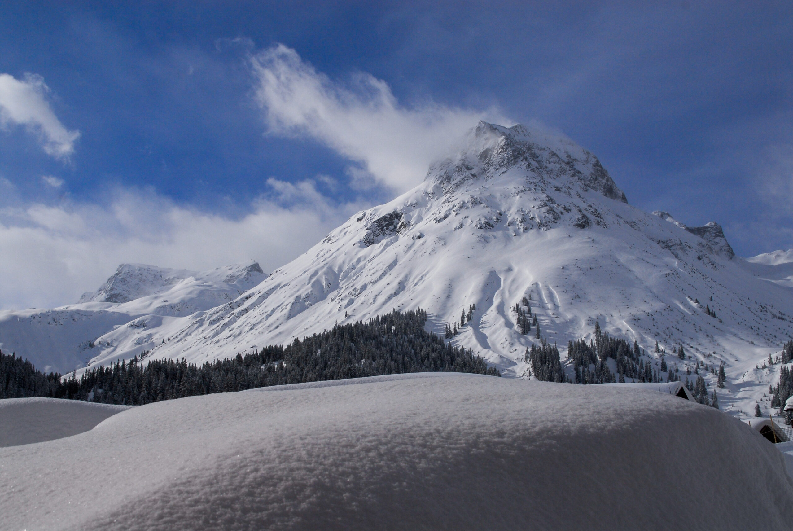_DSC0411